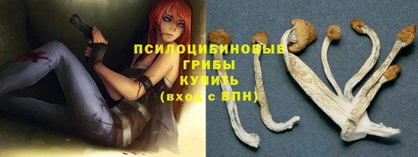 прущая мука Зеленодольск