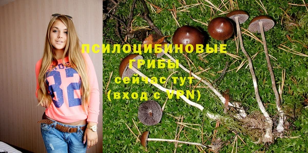 прущая мука Зеленодольск