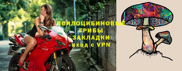 a pvp Зерноград
